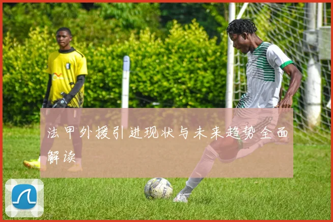 法甲外援引进现状与未来趋势全面解读