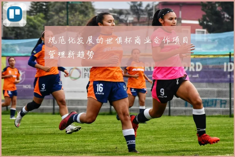 规范化发展的世俱杯商业合作项目管理新趋势