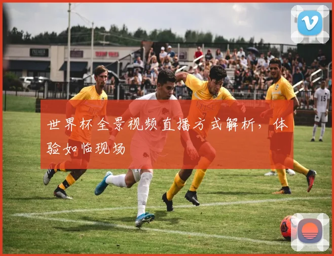 世界杯全景视频直播方式解析，体验如临现场