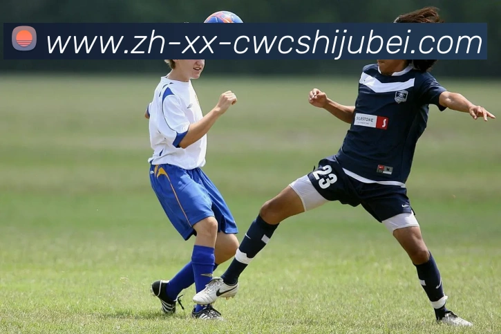 多媒体互动体验