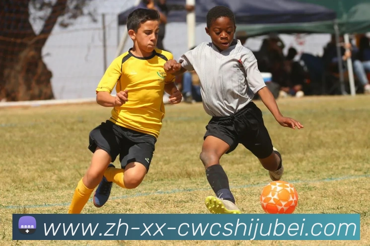 世界杯买球APP 高清赛事图